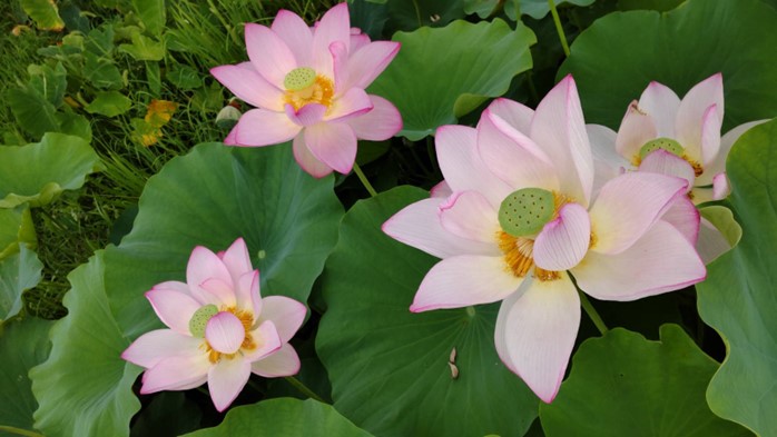 【はじめまして🌼】